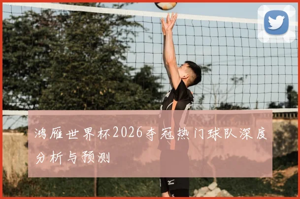 鸿雁世界杯2026夺冠热门球队深度分析与预测