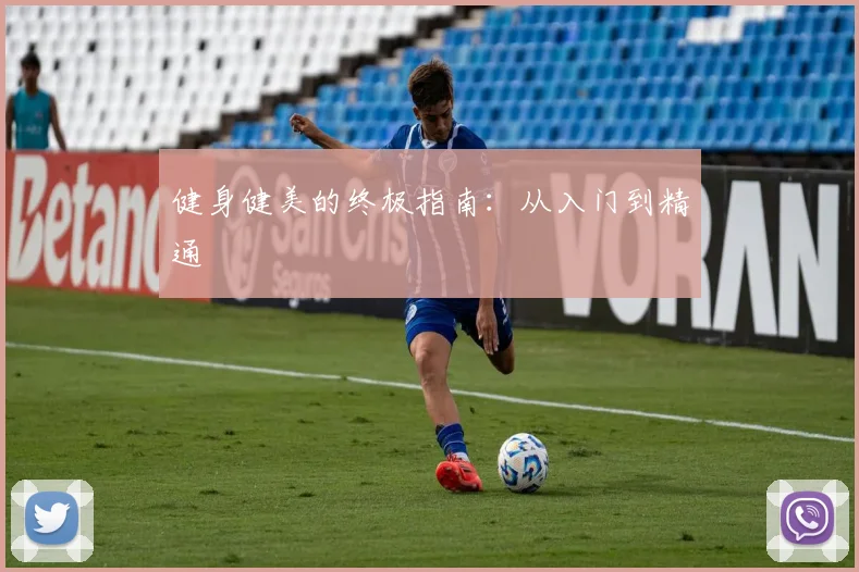 健身健美的终极指南：从入门到精通